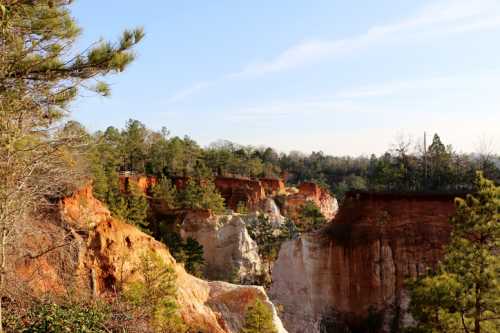 A scenic view of colorful canyon cliffs surrounded by lush green trees under a clear blue sky.