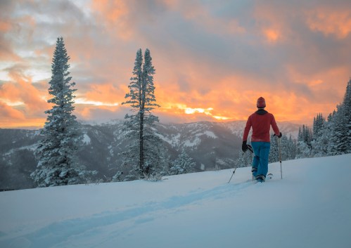 A person skis through a snowy landscape at sunset, surrounded by tall trees and mountains.