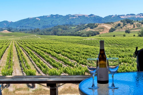 A scenic vineyard view with rolling hills, featuring a bottle of wine and two glasses on a table in the foreground.