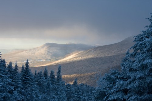 A serene winter landscape with snow-covered trees and distant mountains illuminated by soft sunlight.