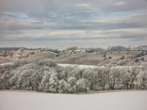 A serene winter landscape with frosted trees and rolling hills under a cloudy sky.