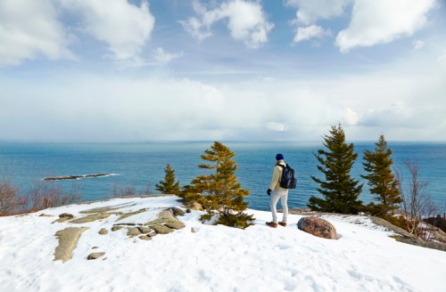 A person stands on a snowy cliff overlooking a calm ocean, surrounded by trees and a cloudy sky.
