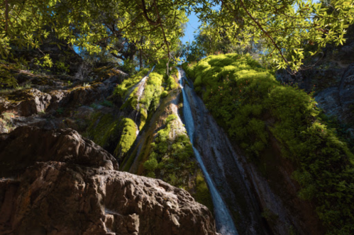 A lush waterfall cascades down moss-covered rocks, surrounded by vibrant green foliage and a clear blue sky.