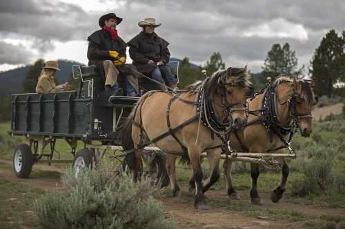 A horse-drawn wagon with two horses, carrying passengers through a scenic landscape with trees and cloudy skies.