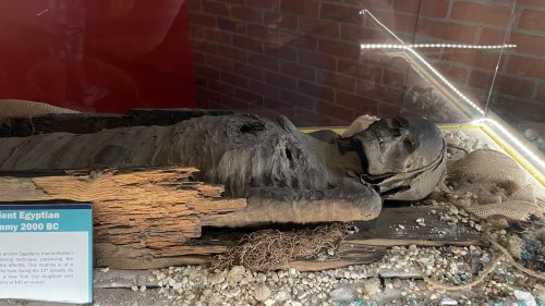 Ancient Egyptian mummy from around 2000 BC, displayed in a glass case with wooden artifacts and decorative elements.