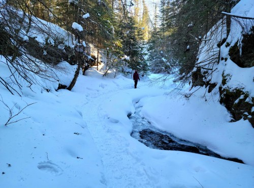 A person walks along a snowy path beside a small stream, surrounded by trees in a winter landscape.