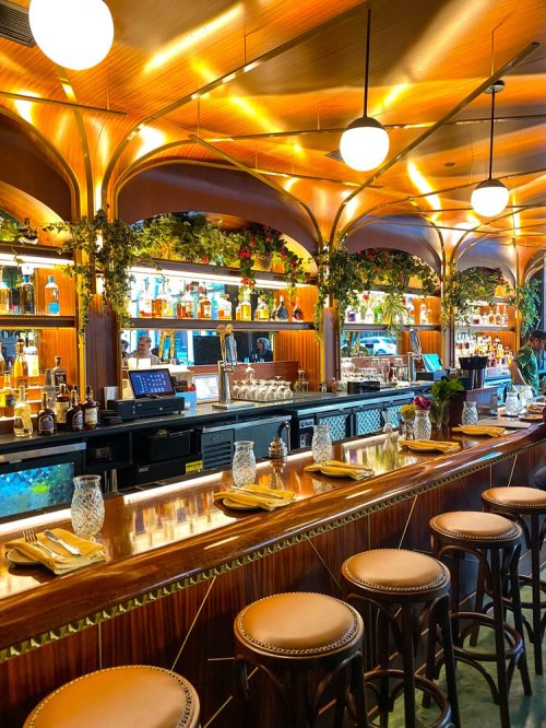 A stylish bar with a polished wooden counter, elegant stools, and shelves lined with colorful bottles and greenery.