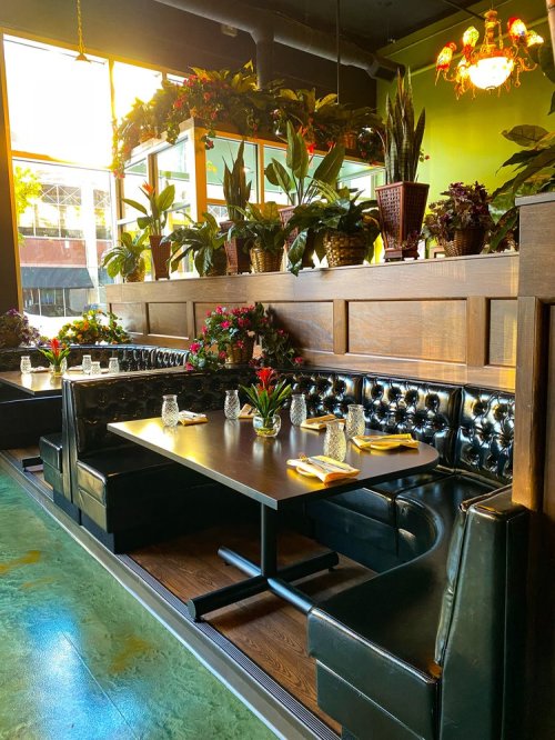 Cozy restaurant booth with black leather seating, adorned with plants and flowers, bathed in warm sunlight.