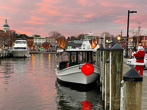 A festive boat with reindeer antlers and a red ornament docked at a harbor during sunset, with buildings in the background.