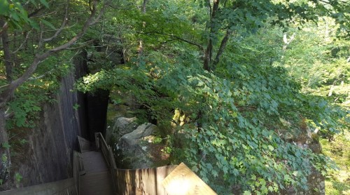 A wooden pathway leads through lush greenery and rocky terrain in a serene forest setting.