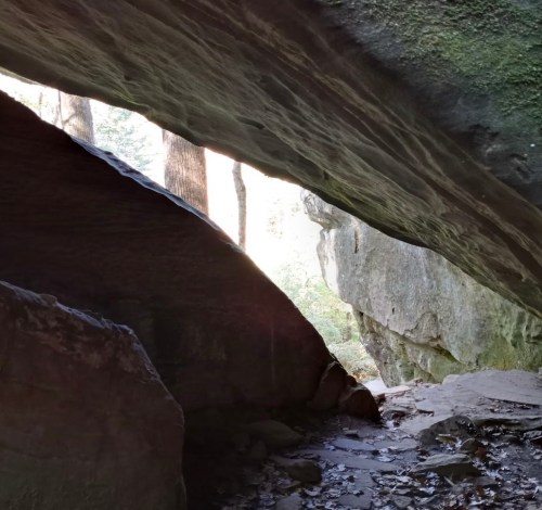 A rocky cave entrance with trees visible in the background, sunlight filtering through the opening.