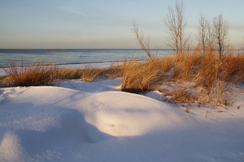 A serene beach scene with snow-covered sand, tall grasses, and calm water under a clear sky.