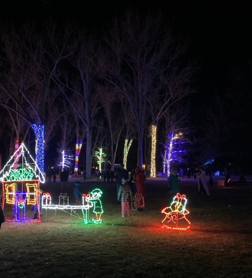 Colorful holiday lights illuminate a park at night, featuring a decorated house and festive figures among bare trees.