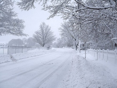 A snowy street lined with trees and a white fence, blanketed in fresh snow under a gray sky.