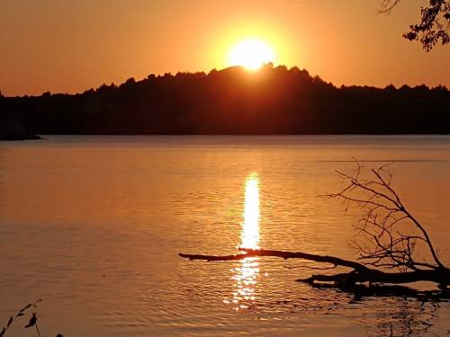 Sunset over a calm lake, with golden reflections on the water and silhouettes of trees in the background.