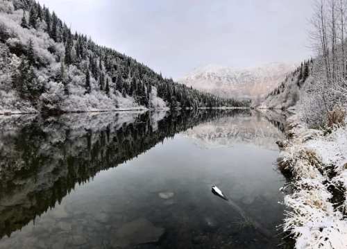 A serene winter landscape with snow-covered trees reflecting in a calm lake surrounded by mountains.