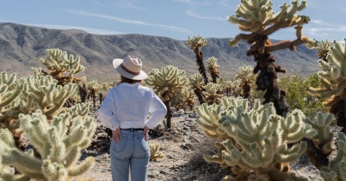 A woman turns to look at the desert landscape within Joshua Tree National Park.