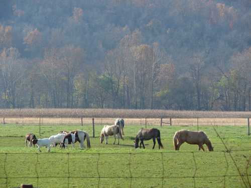 These Are The 10 Most Charming Rural Cities In Indiana