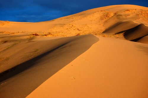 Golden sand dunes under a blue sky, with shadows creating patterns on the surface.