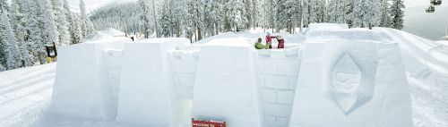 Snow structures with carved designs, surrounded by tall evergreen trees and a snowy landscape.