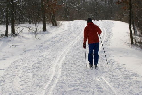 A person in a red jacket and blue pants cross-country skiing on a snowy trail surrounded by trees.