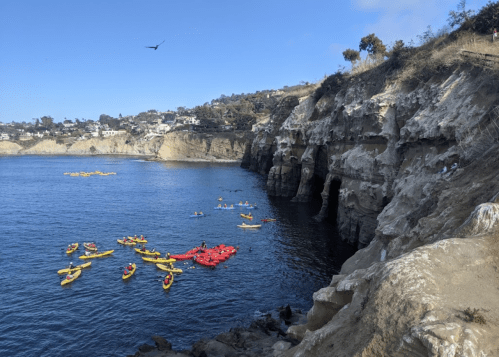 Kayakers in colorful boats explore a calm coastal area with cliffs and a clear blue sky in the background.