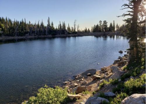 A serene lake surrounded by trees and rocky shores, reflecting the clear blue sky and sunlight.