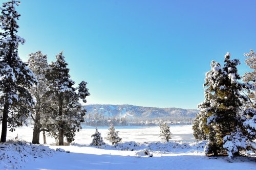 A snowy landscape with trees, a frozen lake, and a clear blue sky in the background.