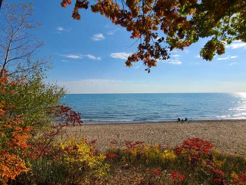 A serene beach scene with calm water, colorful autumn foliage, and two people sitting on the sand under a clear blue sky.