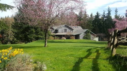 A charming house surrounded by lush green grass, blooming trees, and colorful flowers under a clear blue sky.