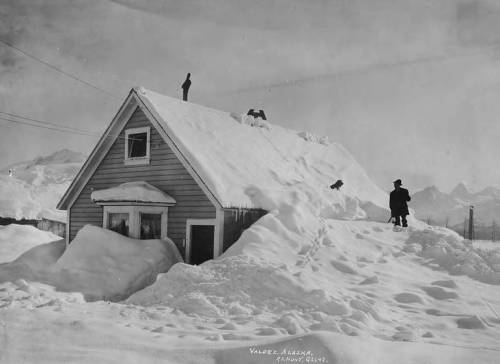 A snowy scene featuring a house covered in snow, with people on the roof and a dog nearby. Mountains in the background.