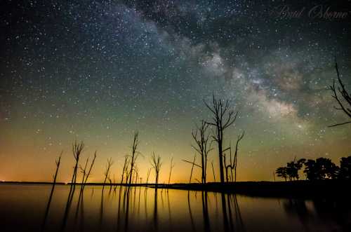 A serene night sky filled with stars and the Milky Way, reflecting on calm water with silhouetted trees.