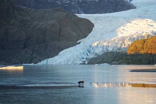 A serene landscape featuring a glacier, calm water, and a person in a small boat near the icy shore.