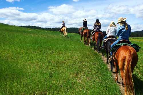 A group of people riding horses along a grassy trail under a blue sky with fluffy clouds.