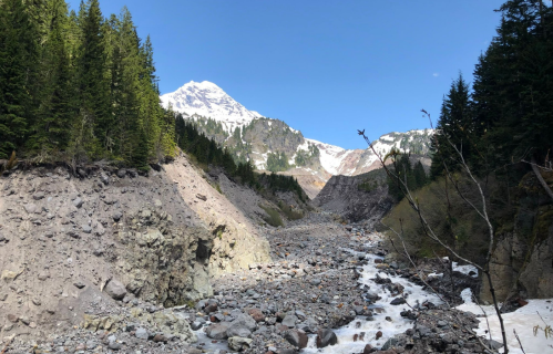 A rocky riverbed flows through a valley, surrounded by lush green trees and snow-capped mountains under a clear blue sky.