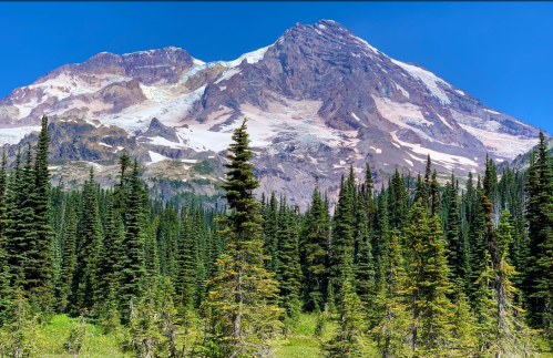 A majestic mountain with a glacier, surrounded by dense evergreen trees under a clear blue sky.