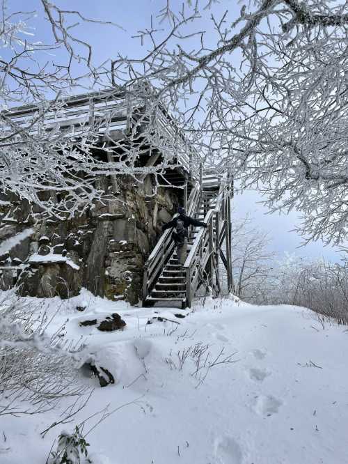 A person climbs snowy stairs to a wooden structure surrounded by frosted trees and a winter landscape.