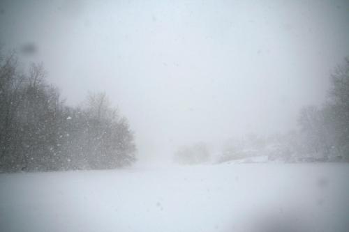 A snowy landscape with heavy snowfall, obscuring trees and the horizon in a whiteout condition.