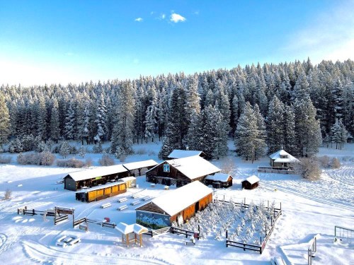 A snowy landscape featuring rustic buildings surrounded by tall evergreen trees under a clear blue sky.