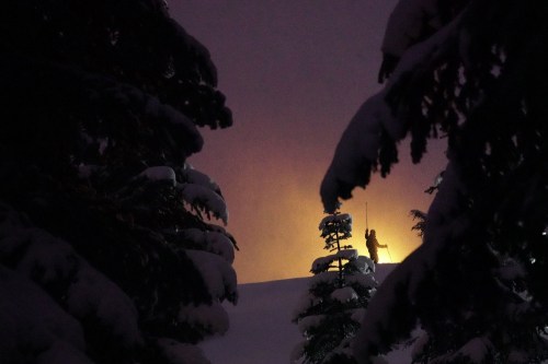 A silhouette of a skier against a glowing, snowy landscape at dusk, framed by dark evergreen trees.