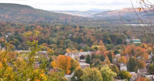 A scenic view of a valley with colorful autumn foliage and distant mountains under a cloudy sky.