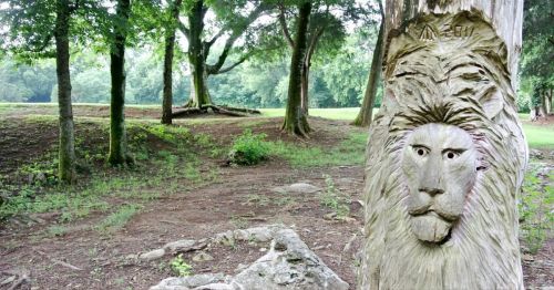 A carved lion's face on a tree trunk, surrounded by a wooded area with grassy ground and distant trees.