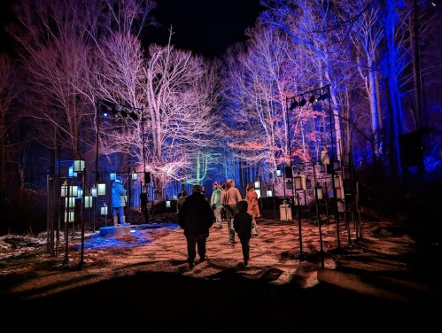A group of people walking through a forest illuminated by colorful lights and art installations at night.