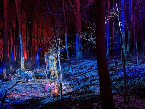 A mysterious forest scene at night, illuminated by colorful lights, featuring a figure and a dog near scattered pumpkins.