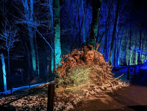 A large, eerie face emerges from a pile of branches and leaves in a dimly lit, blue-tinted forest.