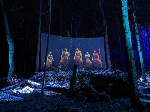 A projection of figures in a forest, illuminated by blue light, with snow-covered ground and dark trees surrounding.