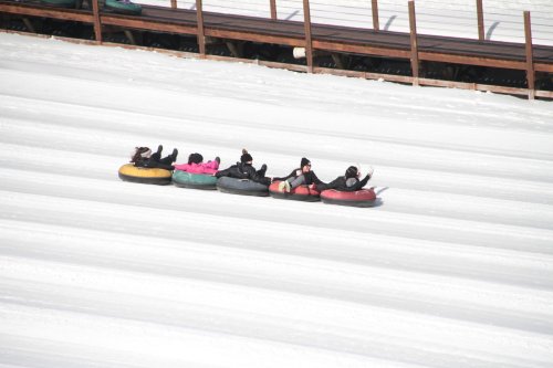 A group of people in colorful snow tubes sliding down a snowy slope, with a wooden structure in the background.