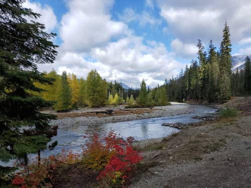 A serene river flows through a forested landscape with autumn foliage and cloudy skies in the background.
