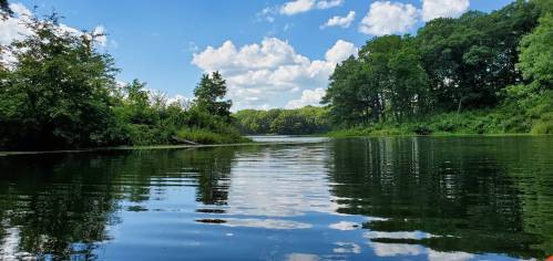 A serene lake surrounded by lush greenery and blue skies with fluffy clouds reflecting on the water's surface.