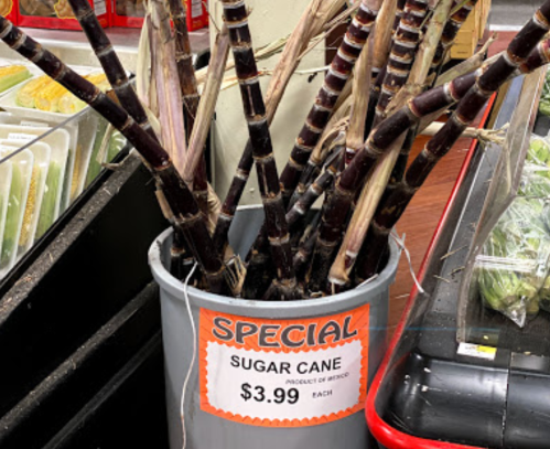 A bucket of sugar cane stalks with a sign reading "SPECIAL SUGAR CANE $3.99 each" in a grocery store.